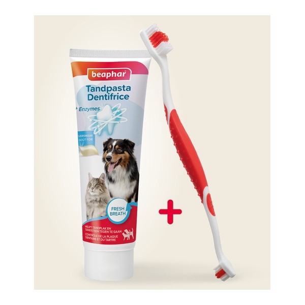 Beaphar Brosse à dents et dentifrice Chien Chat
