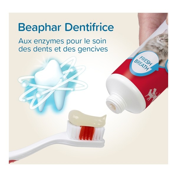 Beaphar Brosse à dents et dentifrice Chien Chat