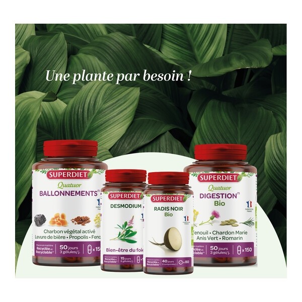 Super Diet radis noir artichaut bio comprimés