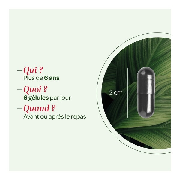 Super Diet Charbon végétal activé gélules