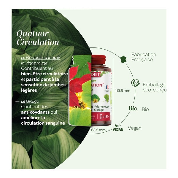Super Diet Quatuor Circulation Bio gélules
