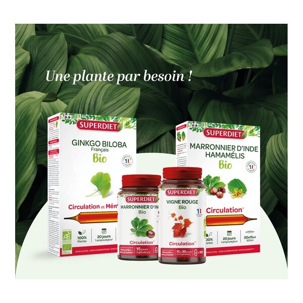 Super Diet Quatuor Circulation Bio gélules