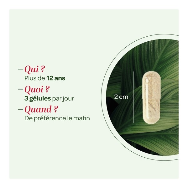 Super Diet Quatuor Curcuma Cassis Harpagophytum et Ortie bio gélules