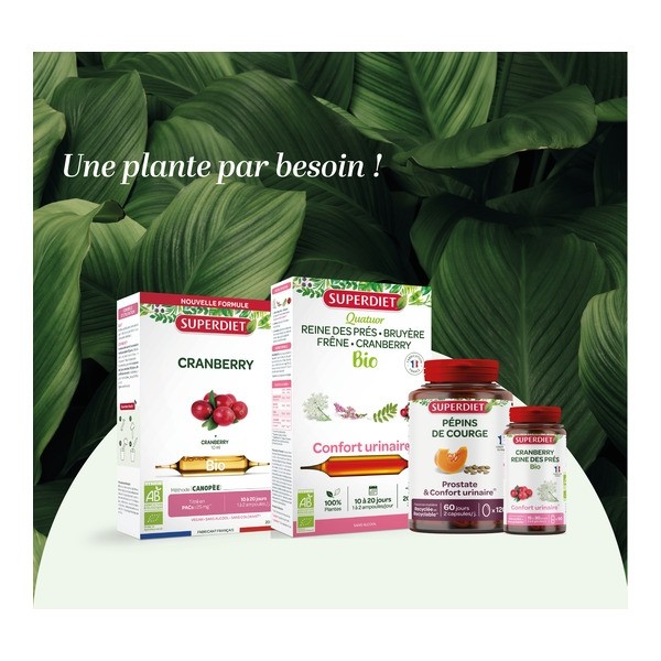 Super Diet pépins de courge capsules