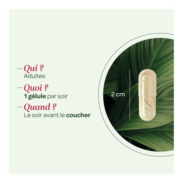 Super Diet mélatonine 1 mg gélules