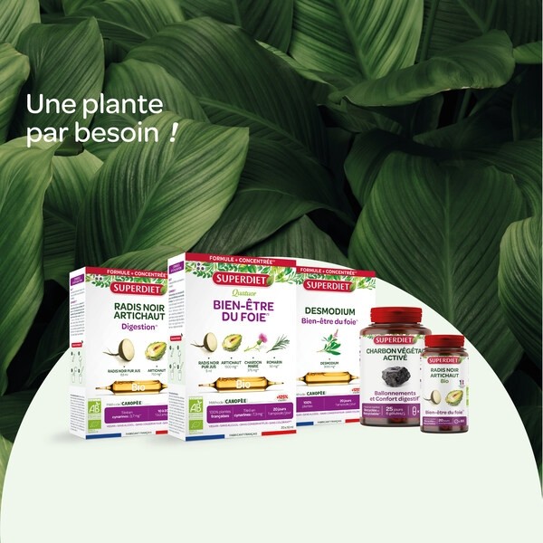 Super Diet Artichaut bio ampoules