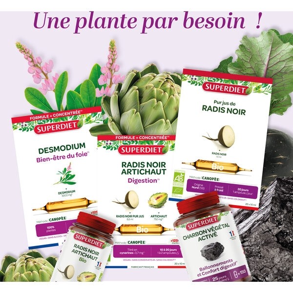 Super Diet aubier de tilleul digestion bio ampoules