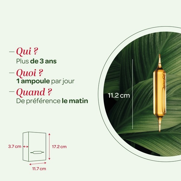 Super Diet Pur jus de Myrtille bio ampoules