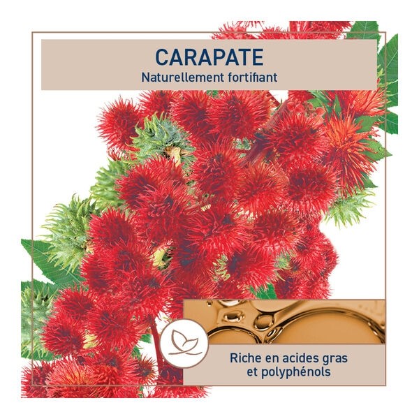 Natessance huile de carapate ricin noire