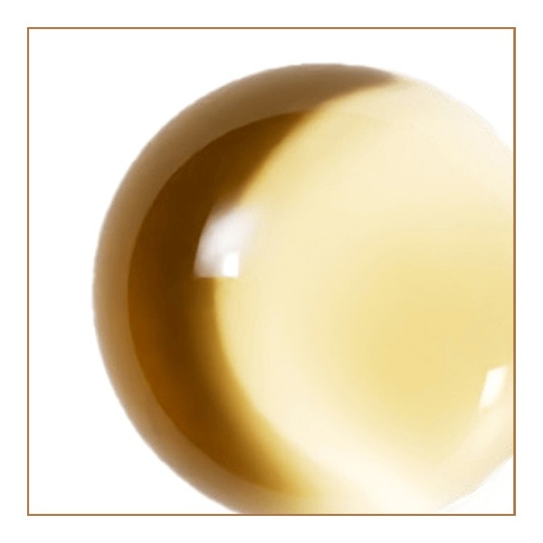 Natessance huile de sésame Bio