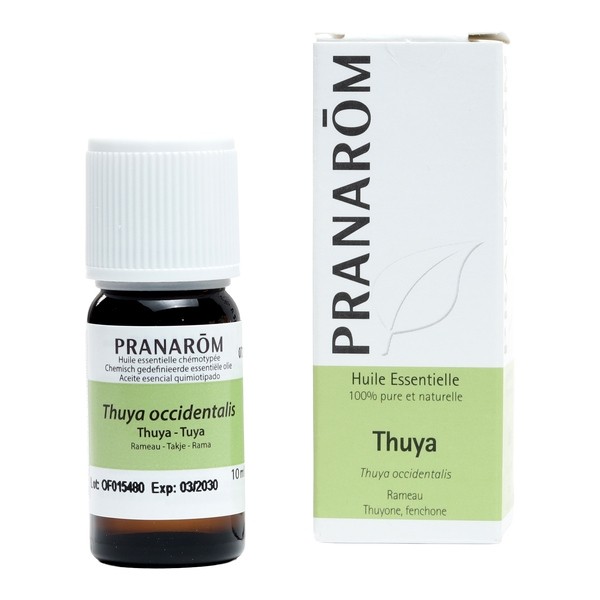 Pranarom Huile essentielle Thuya