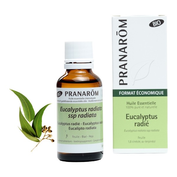 Pranarom huile essentielle Eucalyptus radié Bio