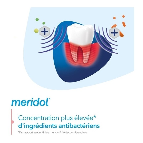 Meridol Parodont Expert dentifrice fluoré