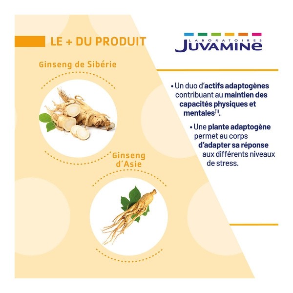 Juvamine Ginseng de Siberie Ginseng d'Asie 890 mg comprimés