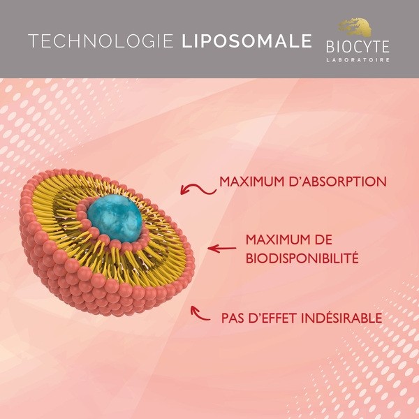 Biocyte Curcumin Forte Liposomal gélules