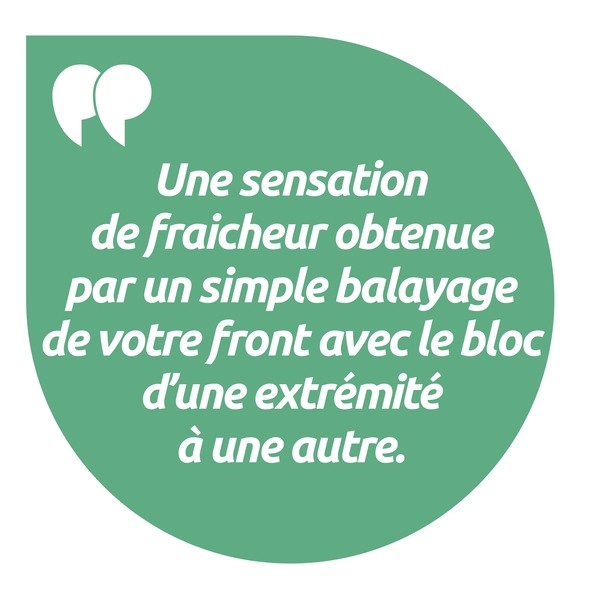 Salva macaron menthol migraine en bois