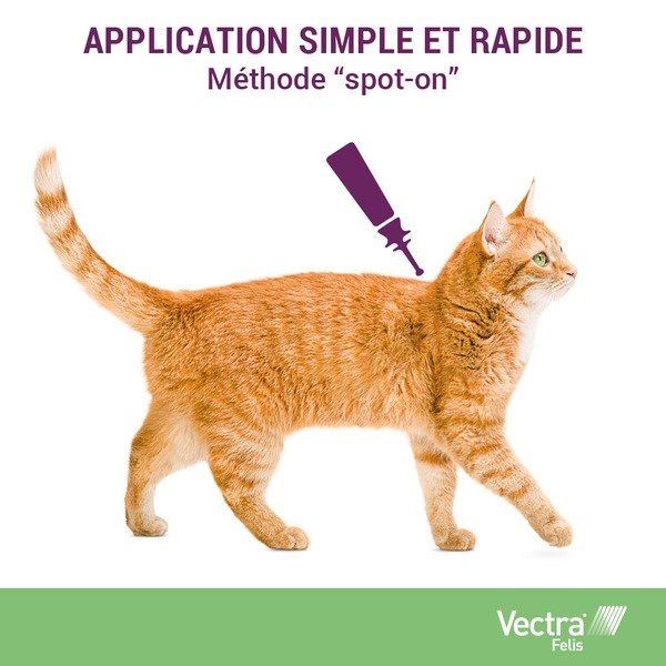 Vectra Felis Pipettes anti puces chat