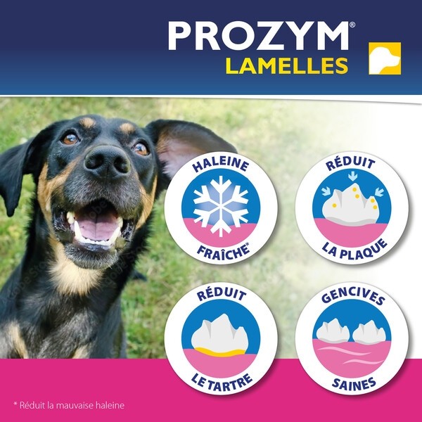 Prozym lamelles Chien