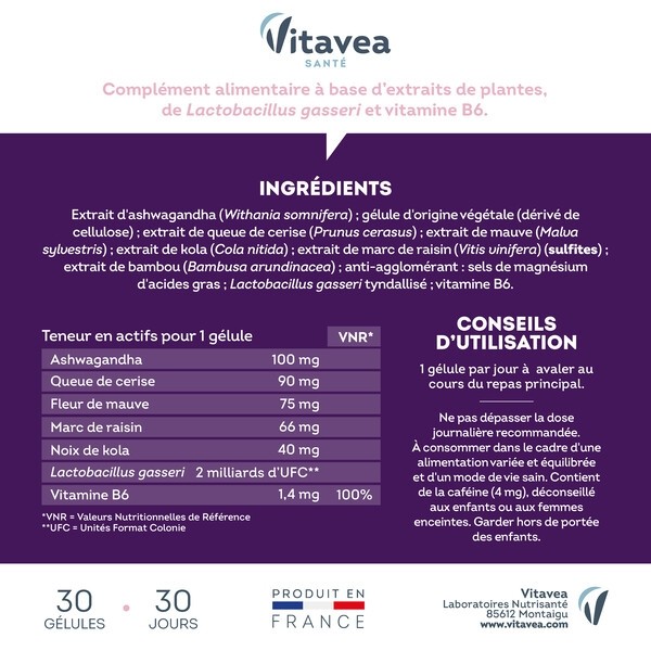 Manhaé Minceur Expert gélules