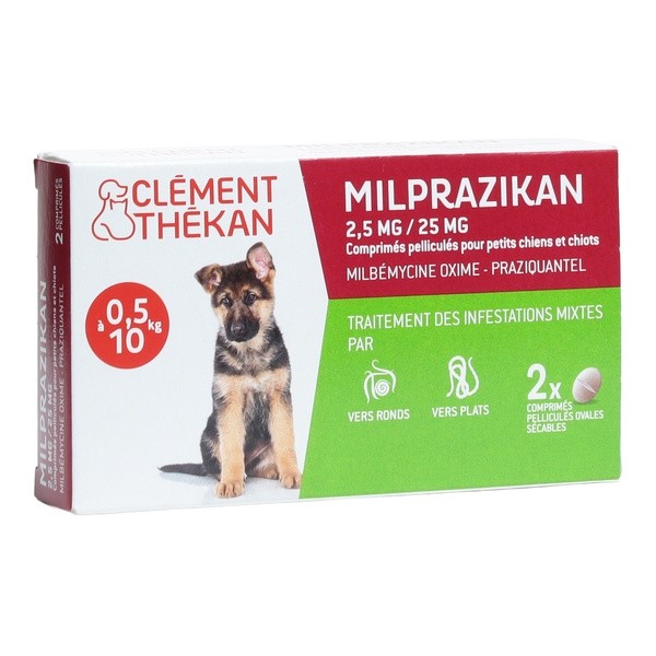 Clément Thékan Milprazikan Chien comprimés