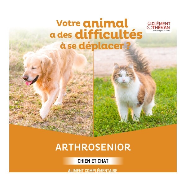 Clément Thékan Arthrosenior chien et chat comprimés