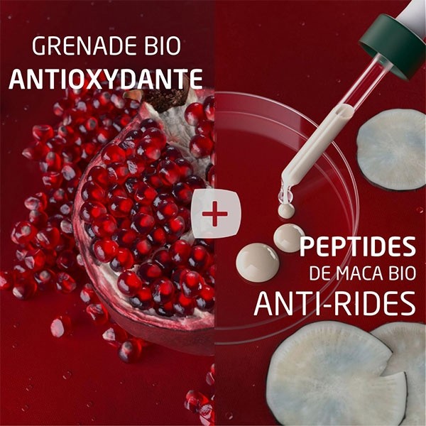 Weleda Contour des yeux raffermissant Bio Grenade et Maca