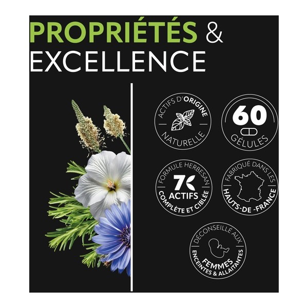 Herbesan Transiphyt Transit facile gélules