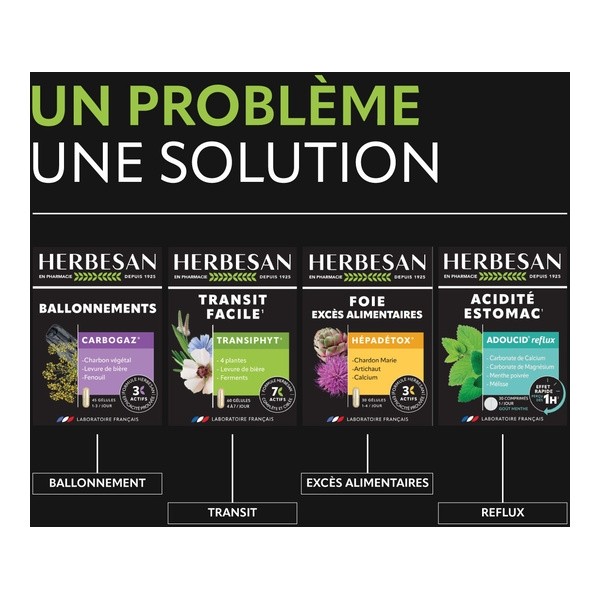 Herbesan Transiphyt Transit facile gélules