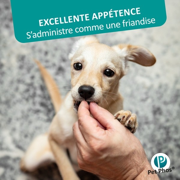 Pet Phos Croissance chien Ca/P=1,3 en comprimés