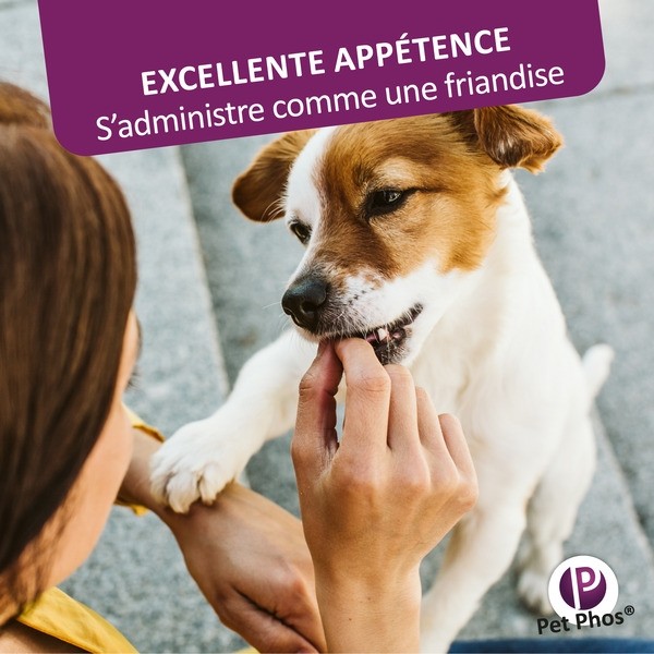Pet Phos Pelage chien comprimés