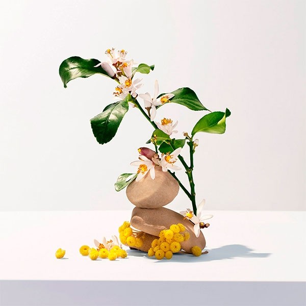 Roger et Gallet Eau parfumée bienfaisante Néroli