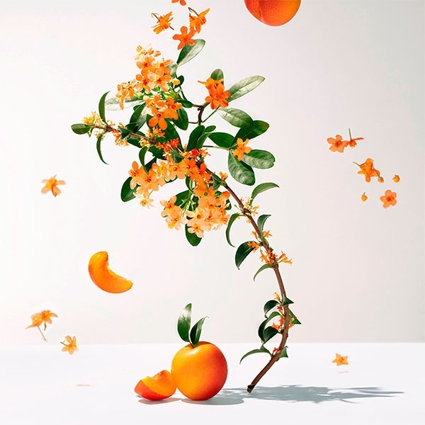 Roger et Gallet eau parfumée bienfaisante Fleur d'Osmanthus