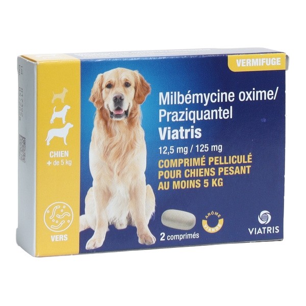 Milbémycine Praziquantel Viatris vermifuge chien