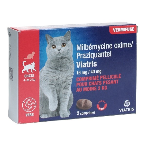 Milbémycine Praziquantel vermifuge chat