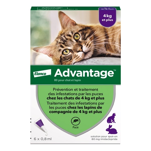 Advantage pipettes pour chat et lapin traitement anti puces
