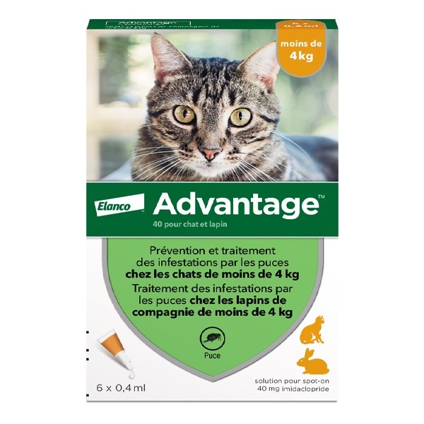 Advantage pipettes pour chat et lapin traitement anti puces
