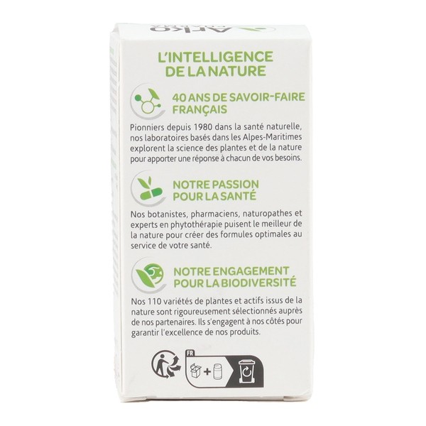 Arkogélules Maté gélules bio