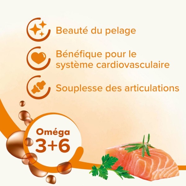 Beaphar huile de saumon