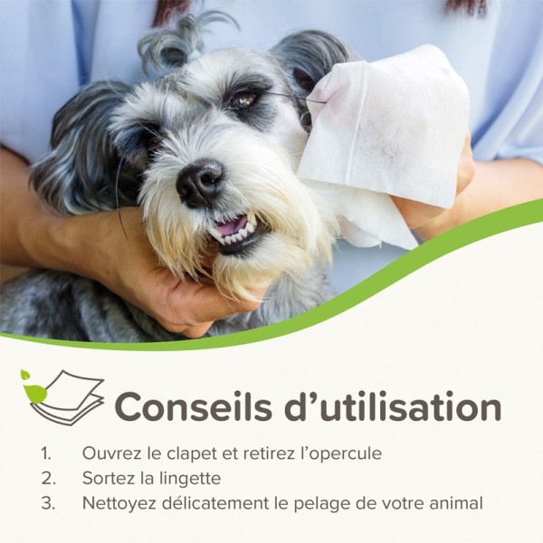 Beaphar Lingettes nettoyantes Oreilles et Yeux Chien et Chat