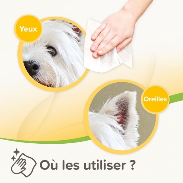 Beaphar Lingettes nettoyantes Oreilles et Yeux Chien et Chat