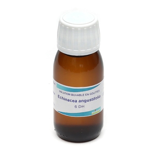 Boiron Echinacea Angustifolia 6 DH gouttes