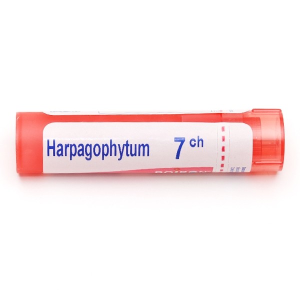 Harpagophytum Boiron granules