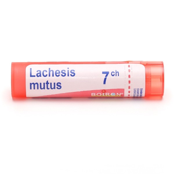 Boiron Lachesis mutus granules