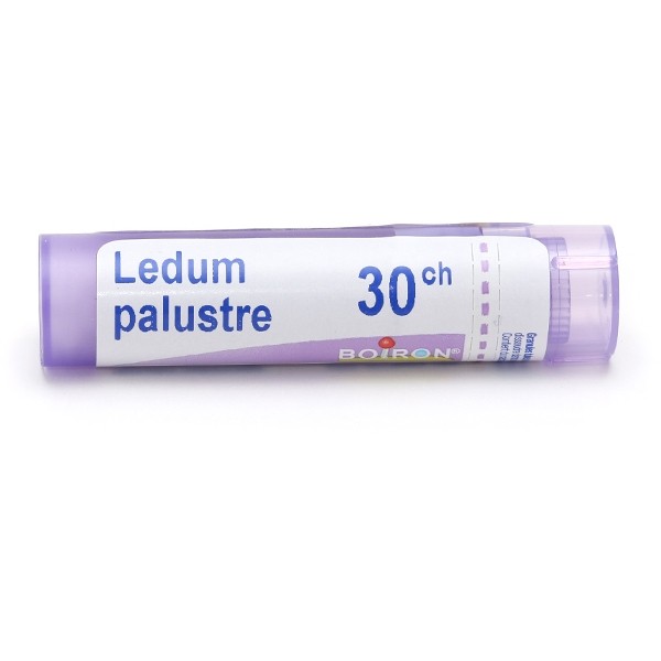 Boiron Ledum palustre granules