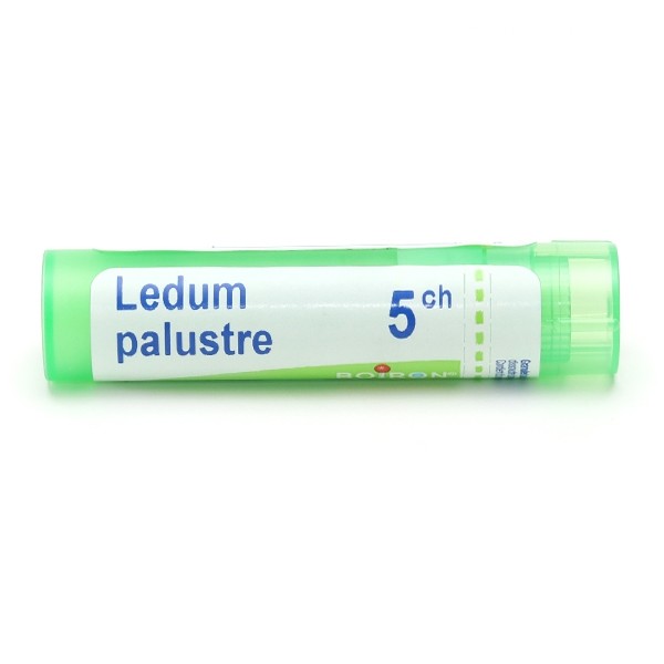Boiron Ledum palustre granules