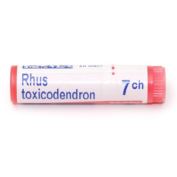 Boiron Rhus toxicodendron dose homéopathique
