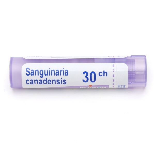 Boiron Sanguinaria canadensis granules