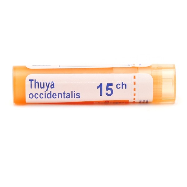 Thuya occidentalis granules homéopathie Boiron