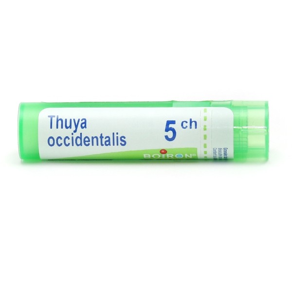 Thuya occidentalis granules homéopathie Boiron