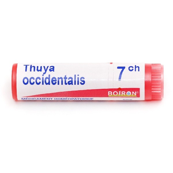 Boiron Thuya occidentalis dose